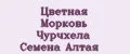 Цветная Морковь Чурчхела Семена Алтая