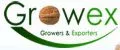 Аналитика бренда GROWEX на Wildberries