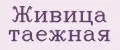 Живица таежная