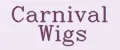 Аналитика бренда Carnival Wigs на Wildberries