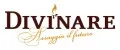Divinare