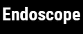 Endoscope