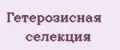 Гетерозисная селекция