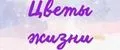 Цветы жизни