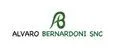 Alvaro Bernardoni