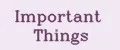 Important Things