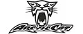 Arctic Cat