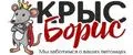 Аналитика бренда Крыс Борис на Wildberries