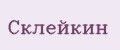 Склейкин