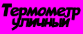 термометр уличный