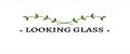 Looking glass