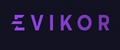 EVIKOR STORE