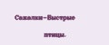 Сажалки-Быстрые птицы.