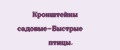 Кронштейны садовые-Быстрые птицы.