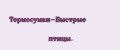 Термосумки-Быстрые птицы.