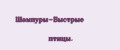 Шампуры-Быстрые птицы.