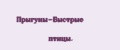 Прыгyны-Быстрыe птицы.