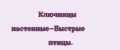 Ключницы настeнныe-Быстрыe птицы.