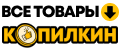 Копилкин