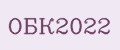 Аналитика бренда ОБК2022 на Wildberries