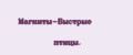 Магниты-Быстрые птицы.