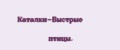 Каталки-Быстрые птицы.