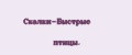 Скалки-Быстрые птицы.