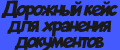 Дорожный кейс для хранения документов