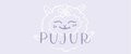 Аналитика бренда PUJUR на Wildberries