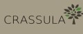 CRASSULA.