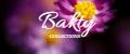 Bakty