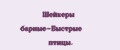 Шейкеры барные-Быстрые птицы.