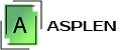 ASPLEN