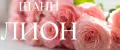 Шани Лион