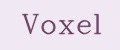 Voxel