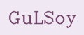 GuLSoy