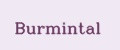 Burmintal
