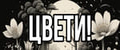 ЦВЕТИ!