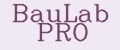 BauLab Pro