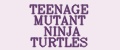 Аналитика бренда TEENAGE MUTANT NINJA TURTLES на Wildberries