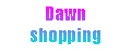 Аналитика бренда Dawn shopping на Wildberries