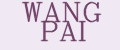 Аналитика бренда WANG PAI на Wildberries