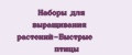 Наборы для выращивания растений-Быстрые птицы