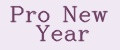 Pro New Year