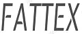 FatTex