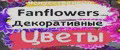 FanFlowers
