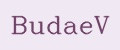 Budaev