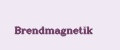 Brendmagnetik