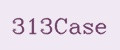 313Case