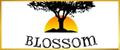 Blossom oils